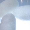 cocoon1